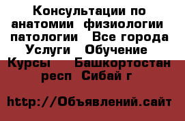 Консультации по анатомии, физиологии, патологии - Все города Услуги » Обучение. Курсы   . Башкортостан респ.,Сибай г.